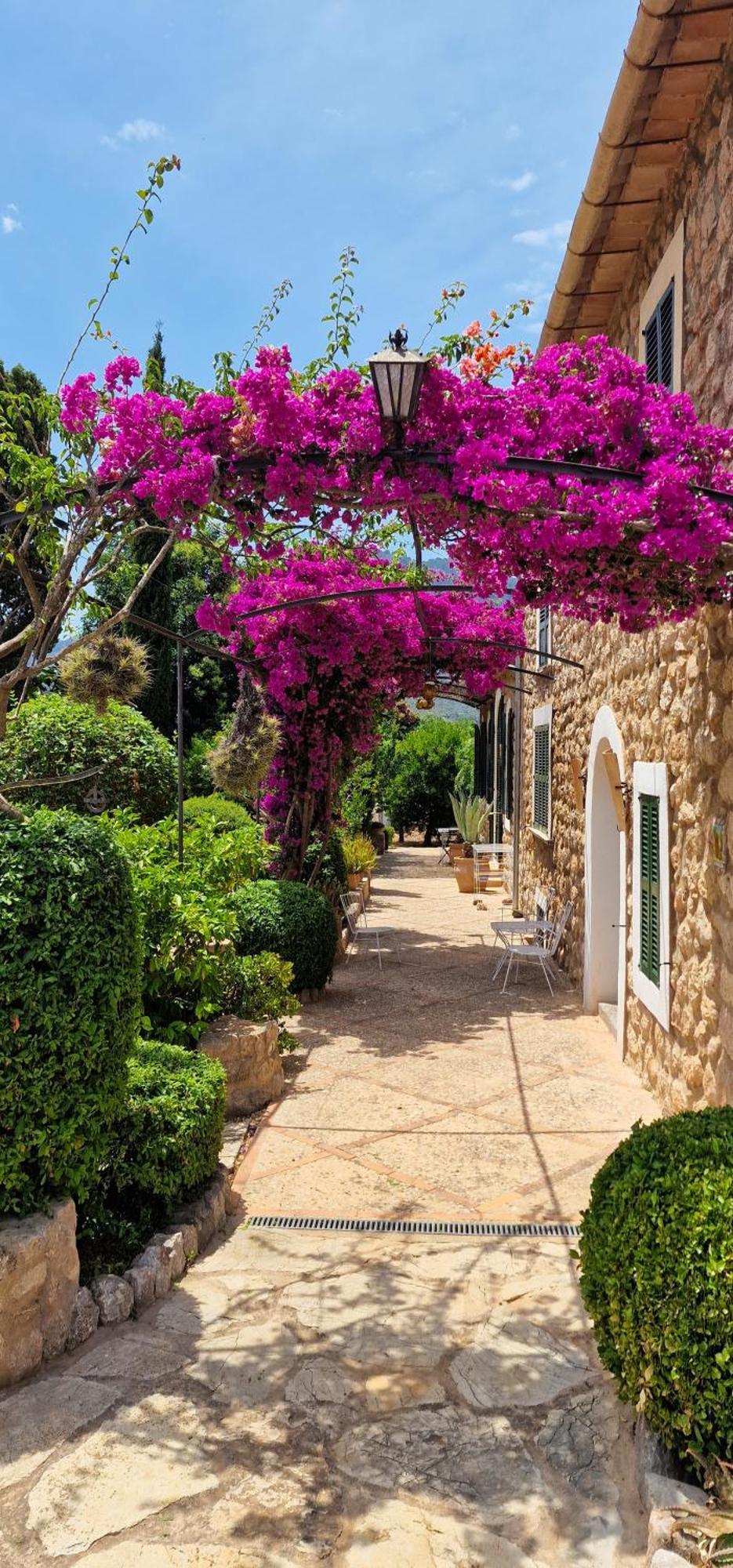 B'ob Holiday home